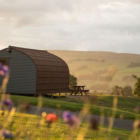 赫克瑟姆Wild Northumberland Glamping别墅 外观 照片