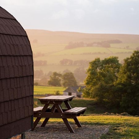 赫克瑟姆Wild Northumberland Glamping别墅 外观 照片